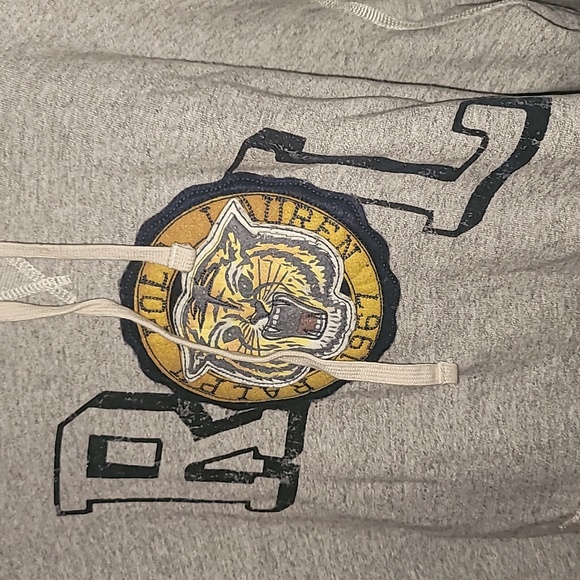 Polo ralph lauren tiger varsity hoodie - Picture 3 of 5